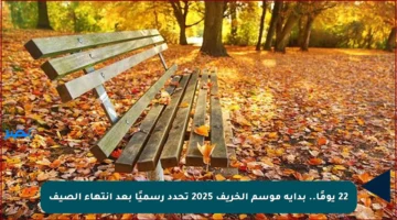 22 يومًا.. بداية موسم الخريف 2025 تحدد رسميًا بعد انتهاء الصيف